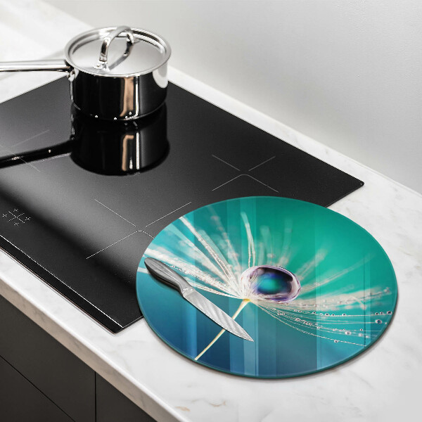 Glas Herdabdeckplatte Tau auf einem Löwenzahn