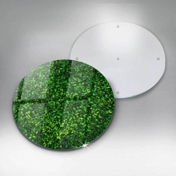 Glas Ceranfeldabdeckung Spritzschutz Pflanze mit kleinen Blättern