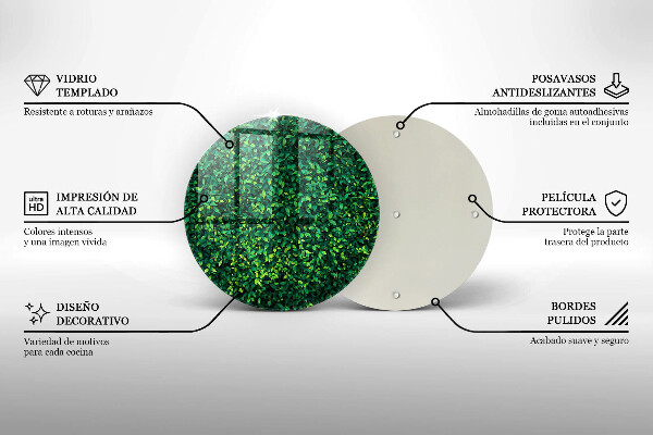 Glas Ceranfeldabdeckung Spritzschutz Pflanze mit kleinen Blättern
