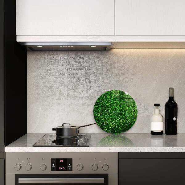 Glas Ceranfeldabdeckung Spritzschutz Pflanze mit kleinen Blättern