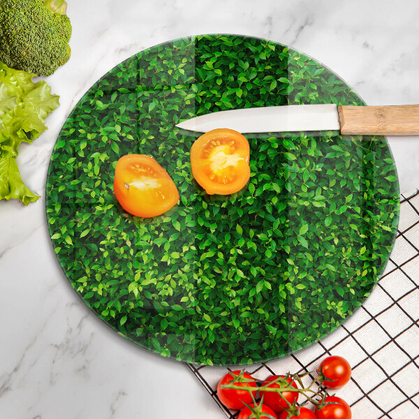 Glas Ceranfeldabdeckung Spritzschutz Pflanze mit kleinen Blättern