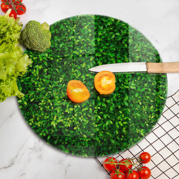 Glas Ceranfeldabdeckung Spritzschutz Pflanze mit kleinen Blättern