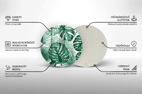 Glas Ceranfeldabdeckung Spritzschutz Monstera geht