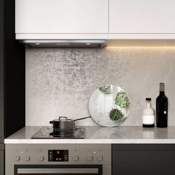 Glas Ceranfeldabdeckung Spritzschutz Sukkulenten auf Beton