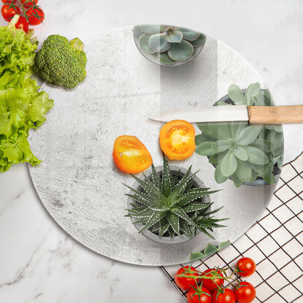 Glas Ceranfeldabdeckung Spritzschutz Sukkulenten auf Beton