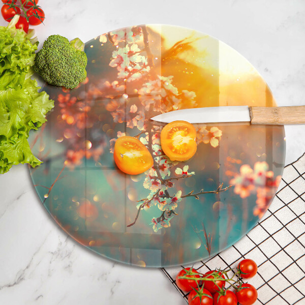 Glas Ceranfeldabdeckung Apfelblüten in der Sonne