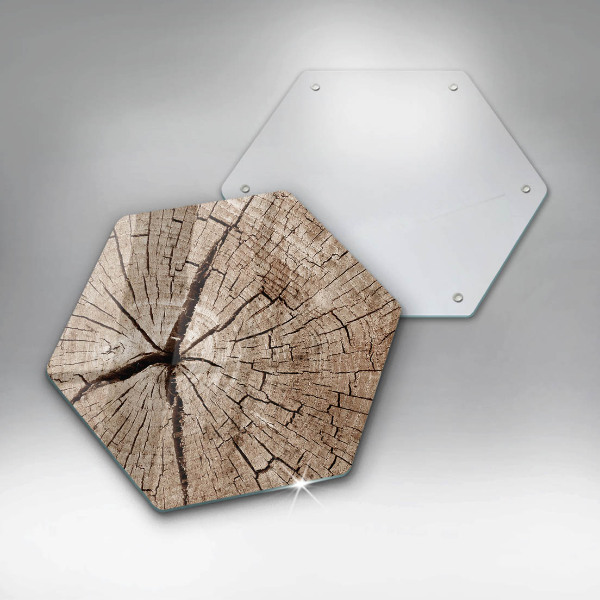 Glas Herdabdeckplatte Querschnitt eines Baumes