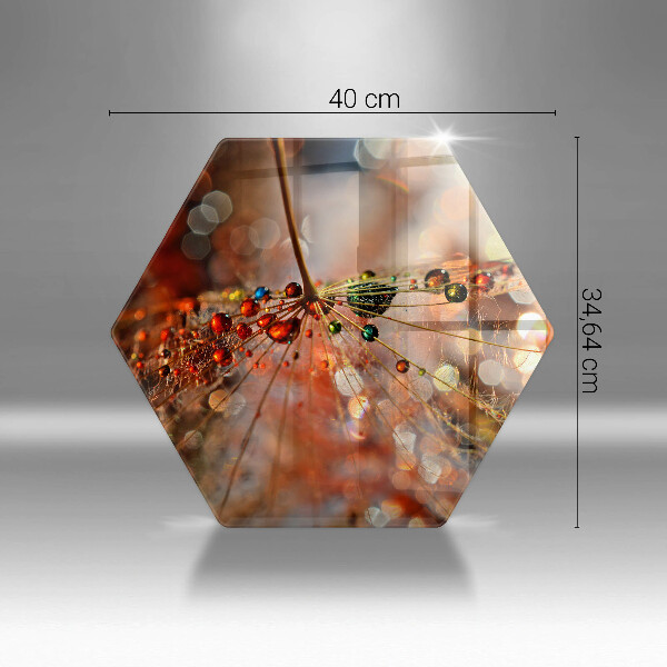 Glas Herdabdeckplatte Nasser Löwenzahn