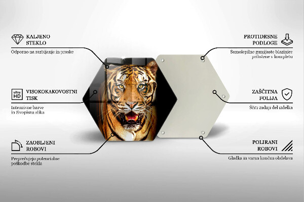 Glas Ceranfeldabdeckung Wildtiertiger