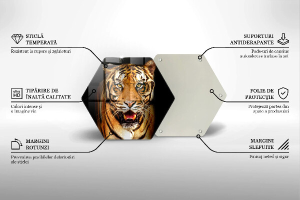 Glas Ceranfeldabdeckung Wildtiertiger