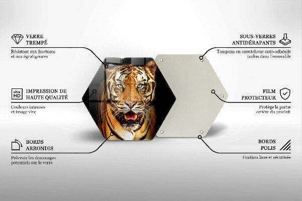 Glas Ceranfeldabdeckung Wildtiertiger