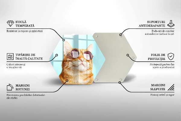 Glas Ceranfeldabdeckung Rote Katze mit Brille