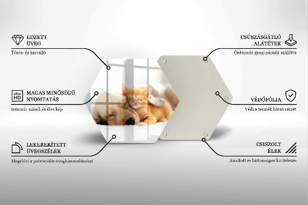 Glas Ceranfeldabdeckung Tiere Hund und Katze