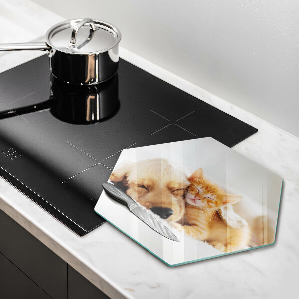 Glas Ceranfeldabdeckung Tiere Hund und Katze