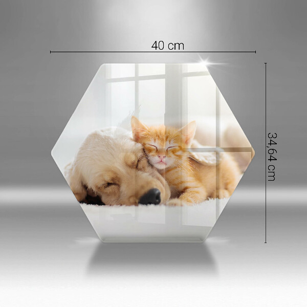 Glas Ceranfeldabdeckung Tiere Hund und Katze