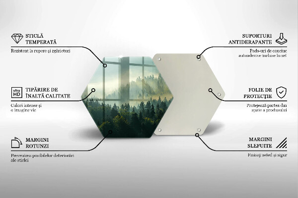 Glas Herdabdeckplatte Landschaftsansicht des Waldes