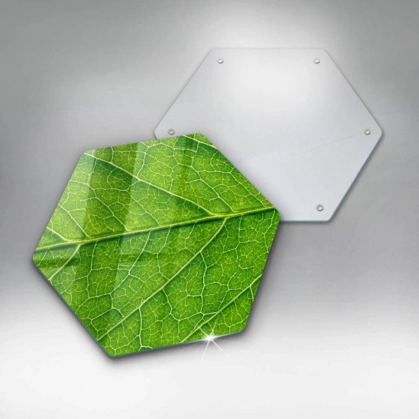 Glas Herdabdeckplatte Naturblattadern