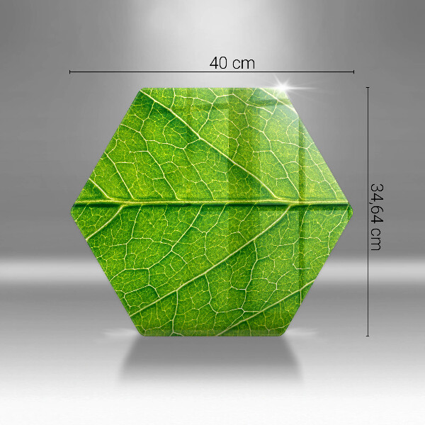Glas Herdabdeckplatte Naturblattadern