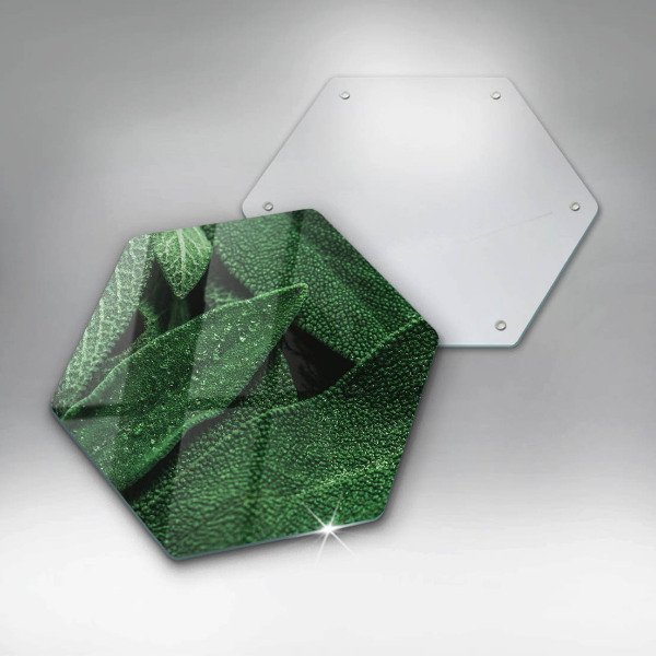 Glas Herdabdeckplatte Die Blätter der Pflanze