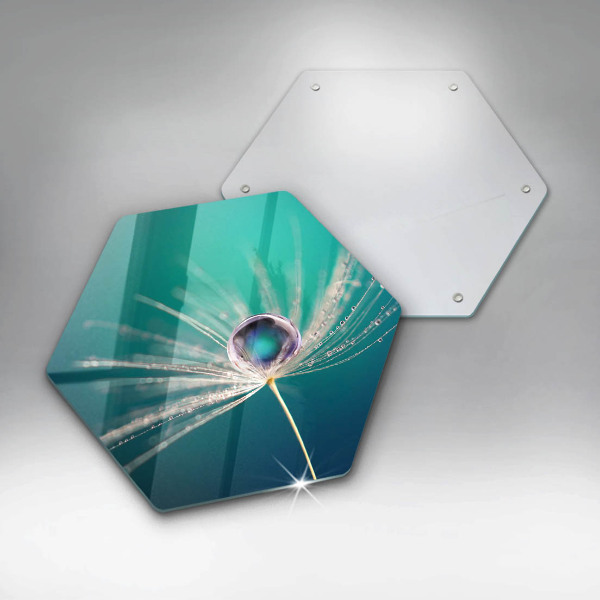 Glas Herdabdeckplatte Tau auf einem Löwenzahn