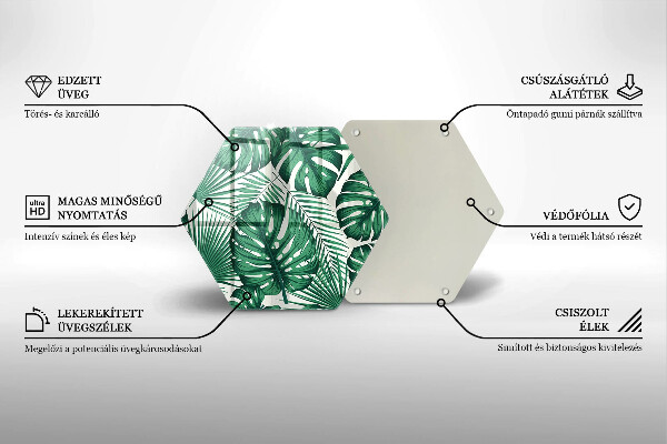 Glas Ceranfeldabdeckung Monstera geht