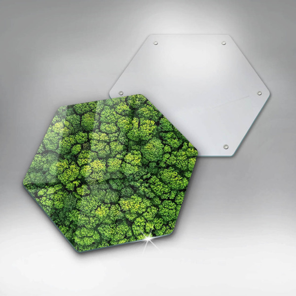 Glas Ceranfeldabdeckung Naturmoospflanze
