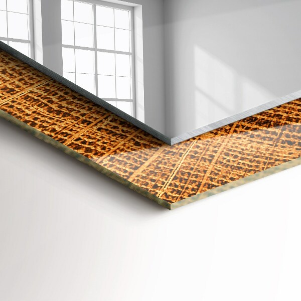 Bedruckter spiegel Querschnitt von Baumstammringen