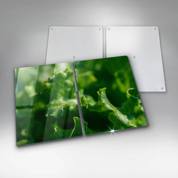 Herdabdeckplatte glas Salatblätter