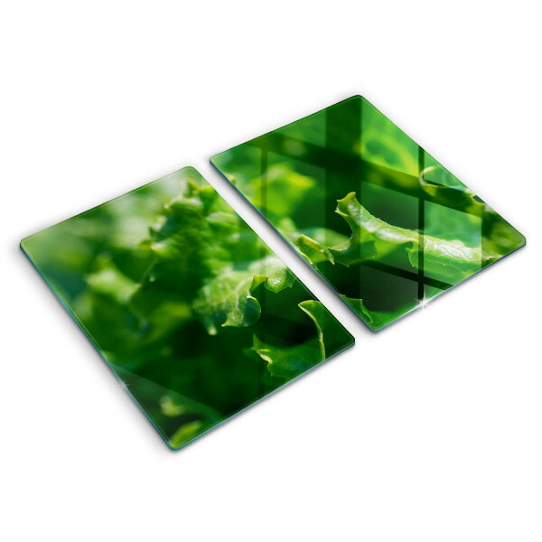 Herdabdeckplatte glas Salatblätter