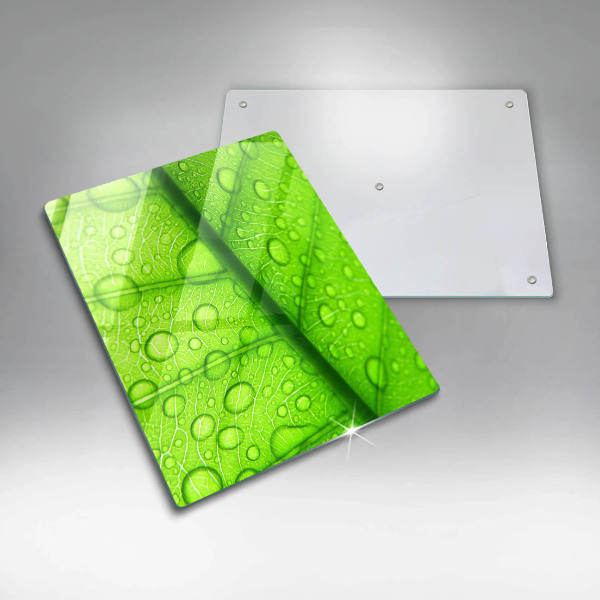 Abdeckung induktionskochfeld Nahaufnahme eines Blattes