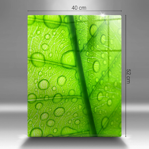 Abdeckung induktionskochfeld Nahaufnahme eines Blattes