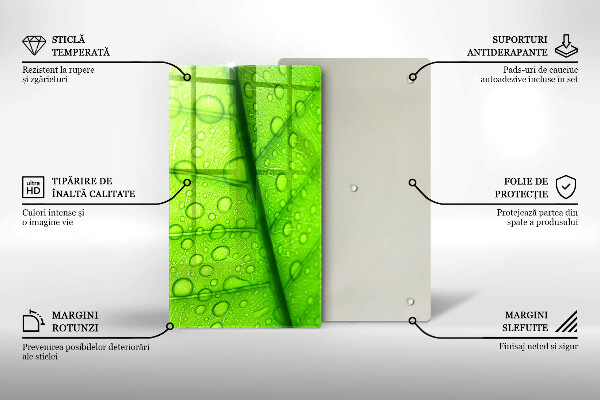 Abdeckung induktionskochfeld Nahaufnahme eines Blattes