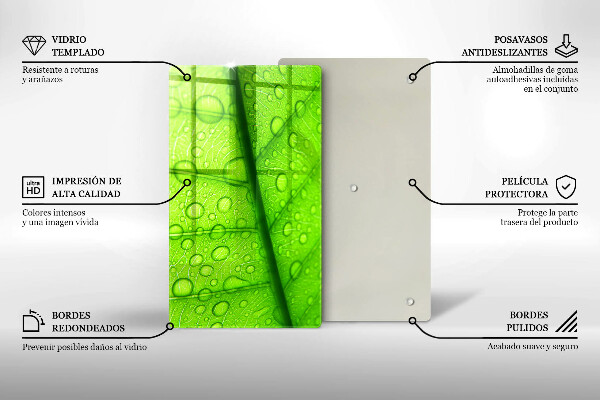Abdeckung induktionskochfeld Nahaufnahme eines Blattes