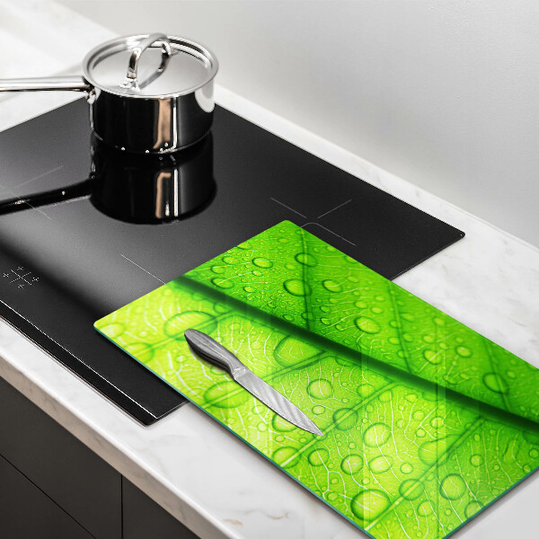 Abdeckung induktionskochfeld Nahaufnahme eines Blattes