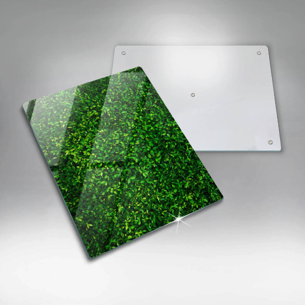 Herd abdeckplatte Pflanze mit kleinen Blättern