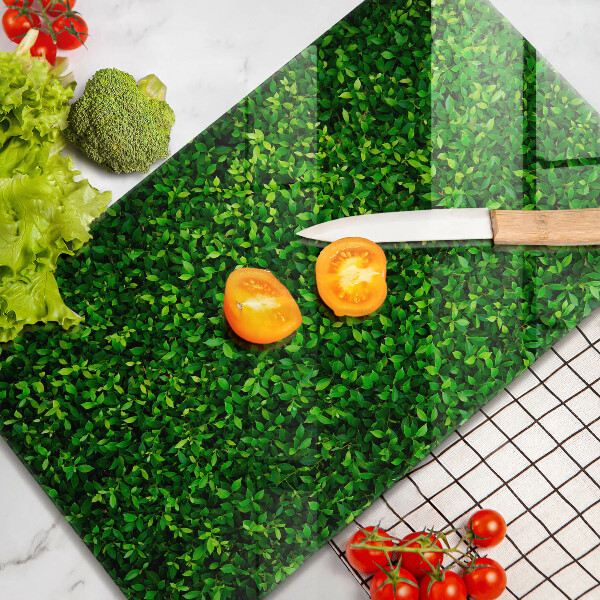 Herd abdeckplatte Pflanze mit kleinen Blättern