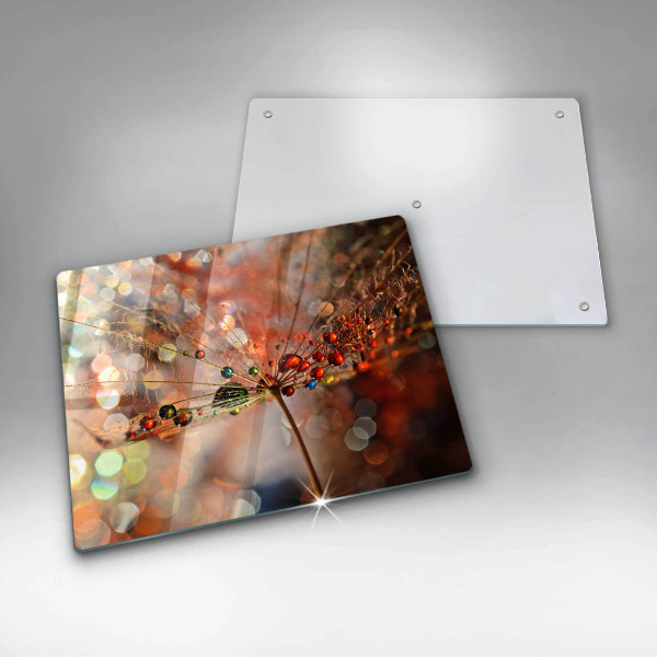 Herdabdeckplatte glas Nasser Löwenzahn