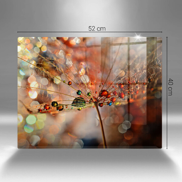 Herdabdeckplatte glas Nasser Löwenzahn