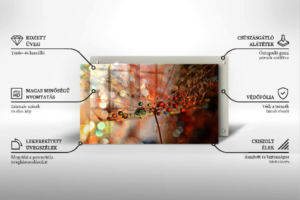 Herdabdeckplatte glas Nasser Löwenzahn