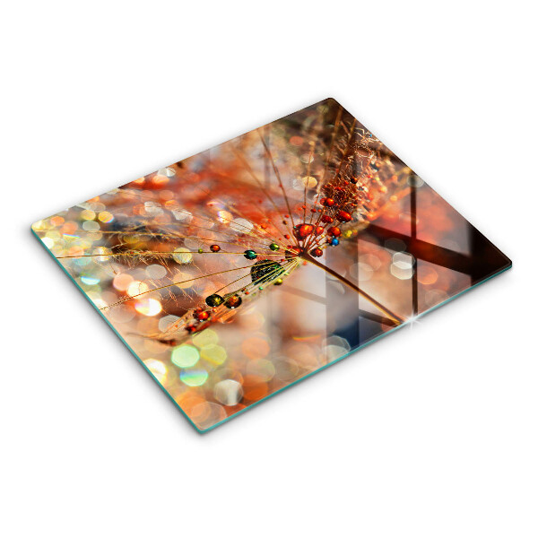 Herdabdeckplatte glas Nasser Löwenzahn