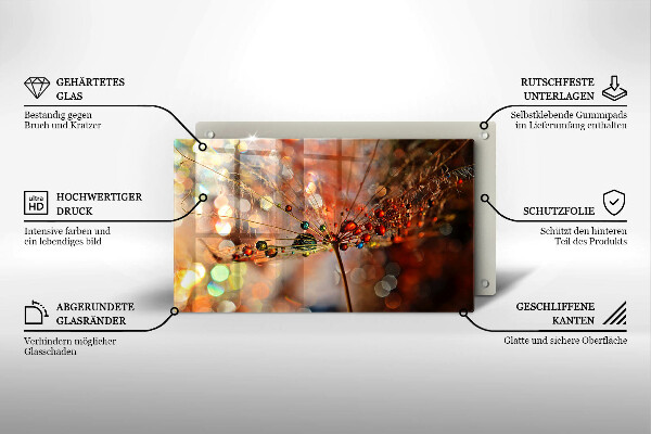 Herdabdeckplatte glas Nasser Löwenzahn
