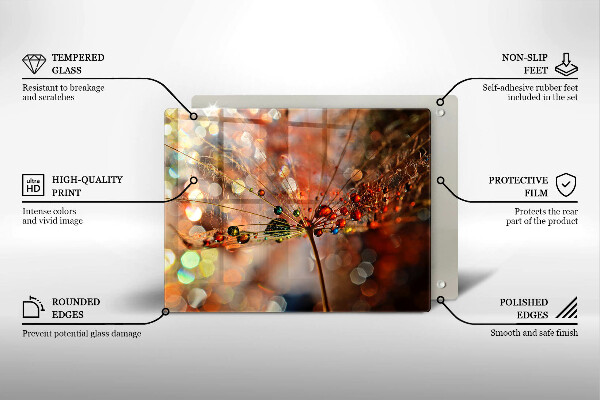 Herdabdeckplatte glas Nasser Löwenzahn