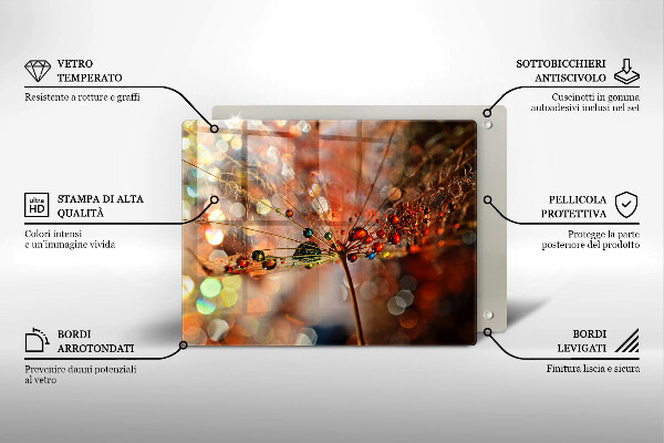 Herdabdeckplatte glas Nasser Löwenzahn