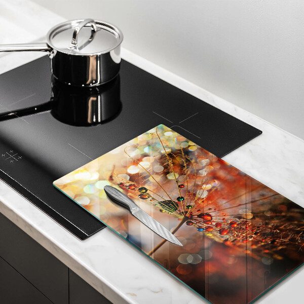 Herdabdeckplatte glas Nasser Löwenzahn