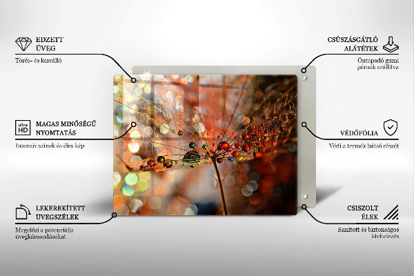 Herdabdeckplatte glas Nasser Löwenzahn