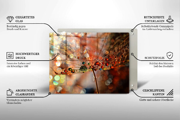 Herdabdeckplatte glas Nasser Löwenzahn