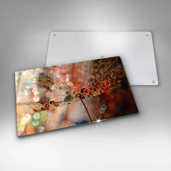 Herdabdeckplatte glas Nasser Löwenzahn