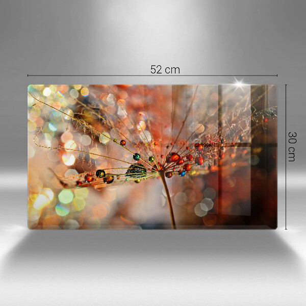 Herdabdeckplatte glas Nasser Löwenzahn