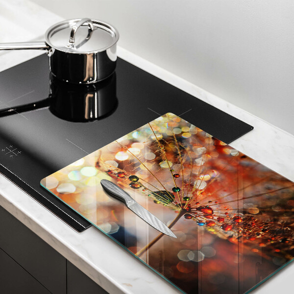 Herdabdeckplatte glas Nasser Löwenzahn