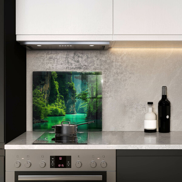 Ceranfeld schutz Lagunenlandschaft